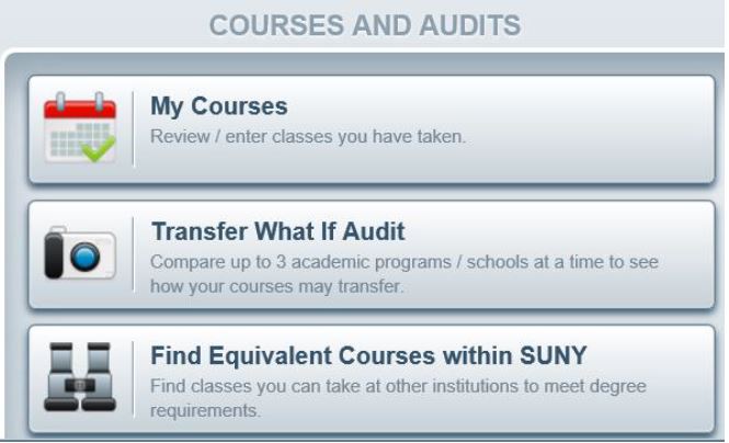 Courses and Audits interface